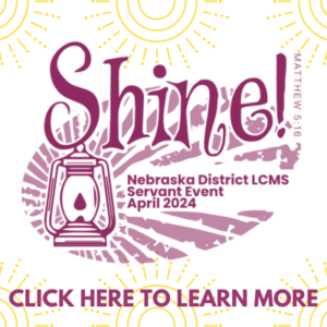 learn about our shine community service month