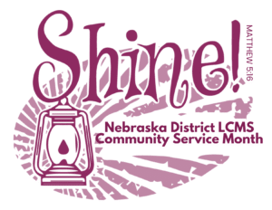 learn about our shine community service month